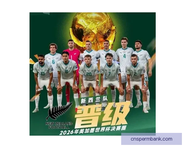 美国力争D组首胜巴拉圭